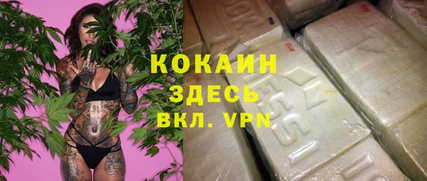 spice Алзамай