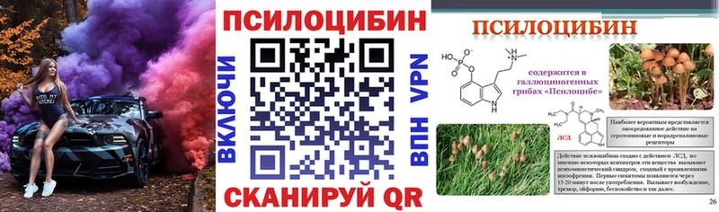 Купить закладки  Татарск  Псилоцибиновые грибы Magic Shrooms 